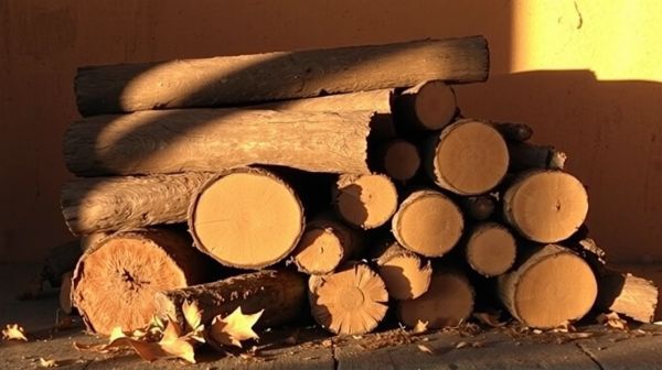 Bois de chauffage Tarn : offrez-vous la qualité locale