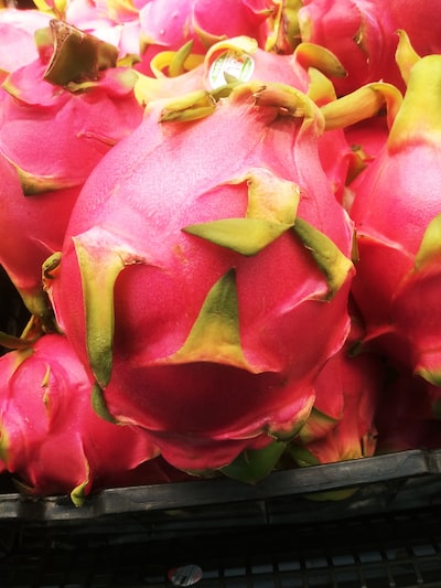 Comment faire germer les graines du fruit du dragon (Pitaya) à partir de graines ?